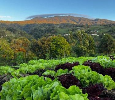 Santa Cruz de Turrialba Apartment | B&N Farm Stay Casita