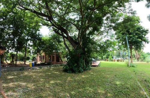 Manorom Resort | Baan Tonjaeng Resort