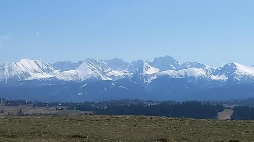 Zab Ski Chalet | Bachledowy Wierch 2