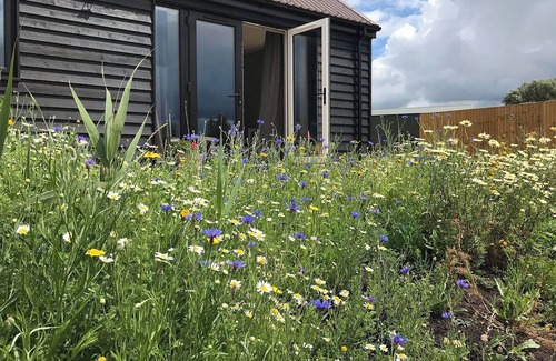 Huntingdon Cottage | Badger Lodge - UK30603