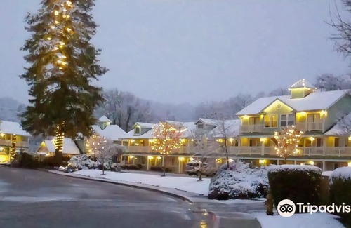 Willits Hotel | Baechtel Creek Inn, Ascend Hotel Collection