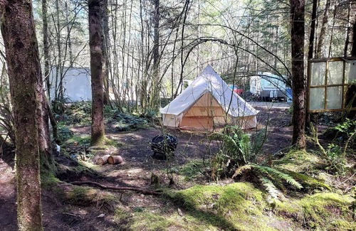 Belfair RV Rental | Baggins Inn campsite at Elfendahl forest.