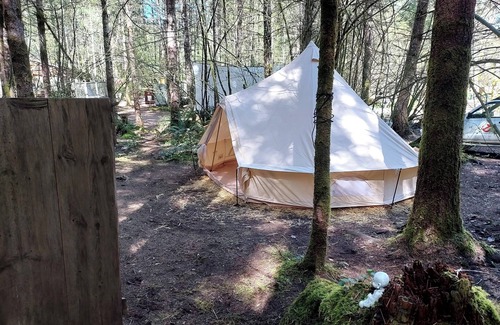 Belfair RV Rental | Baggins Inn campsite at Elfendahl forest.