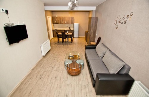Bakurianis Andeziti Apartment | bakuriani residence