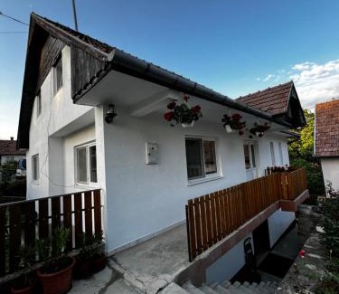Lupeni Apartment | Balázs Vendégház