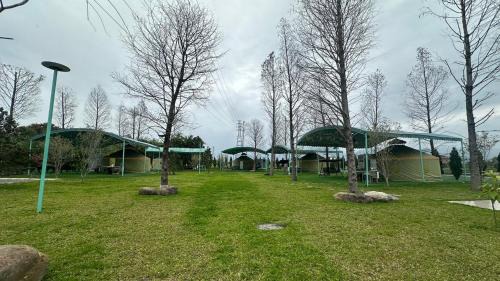 Sanxing House | Bald Cypress B&B