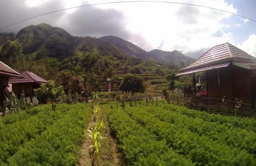 Sembalunbumbung Resort | Bale Sembahulun Cottages & Tend