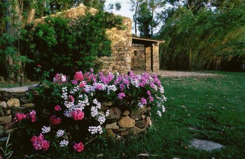 Teulada House | Bamboo House