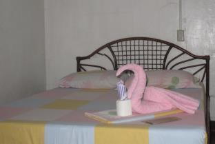 Argao Resort | Bamboo Paradise Beach Resort