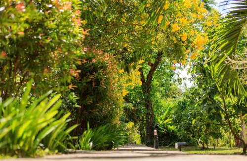Mae Nam Resort | Bang Po Garden