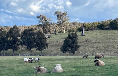 Seaton Villa | Banjos Cabin Gippsland - Luxury Eco Stay w King Bed & Pond Valley Views