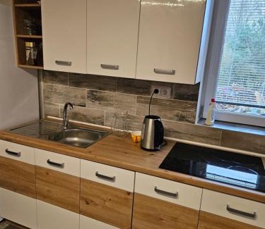 Horcapsko Apartment | Baracek, Baraque