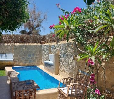 Yusuf as-Sidiq House | Barefoot by Barefoot in Tunis