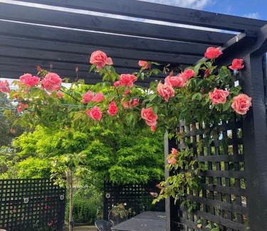 Rutherglen Bed & Breakfast | Barklysuites Apartments