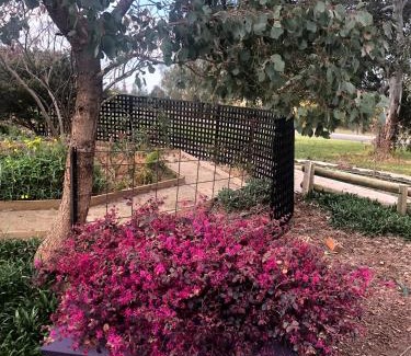 Rutherglen Bed & Breakfast | Barklysuites Apartments