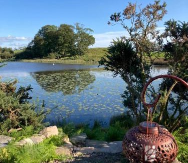 Kirkpatrick Durham Other | Barmoffity Shepherds Hut