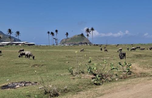 Kuta Cabin | Barrel cottages areguling