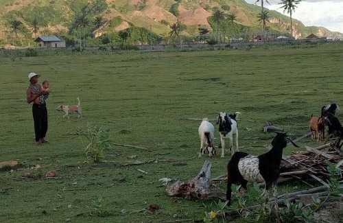 Kuta Cabin | Barrel cottages areguling