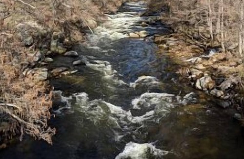 Navalperal de Tormes Cabin | Barrial II for 4 people