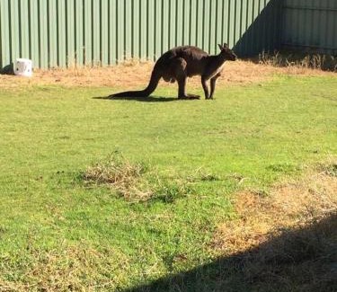 Baudin Beach Apartment | Baudin Beach Holiday Units