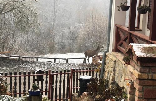 Puspokszentlaszlo House | Bauer Vendégház Püspökszentlászló