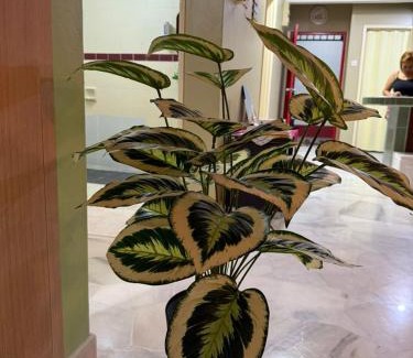 Si Rusa Apartment | Bayu Beach Resort PortDickson Santai PD Homestay Penthouse Seaview