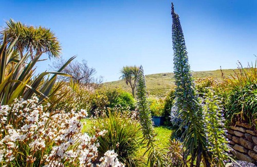 Sennen Cove Cottage | Beach Cottage, Sea views, Garden, Amazing Location