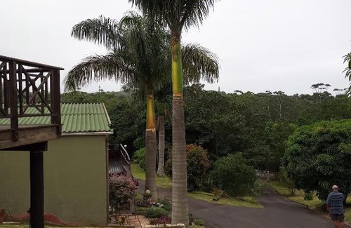 Marina Beach Apartment | Beach cottage