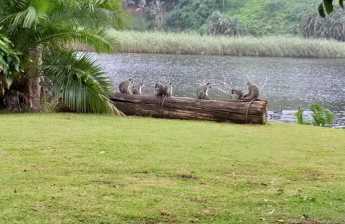 Marina Beach Apartment | Beach cottage