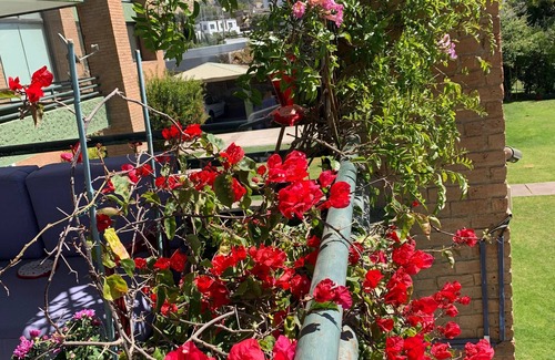 La Herradura Apartment | Beach front apartment direct access to the beach