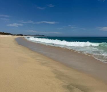San Jose del Cabo Apartment | Beach front beautiful one bedroom Condo