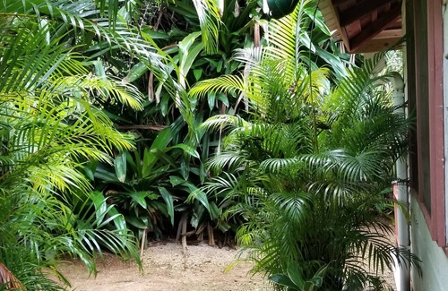 West End Villa | Beachcliff Villa Negril
