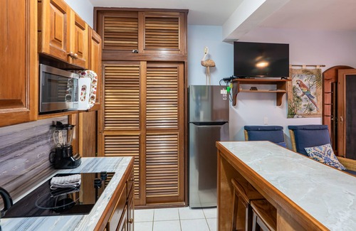 San Pedro Condo | Beachfront dog-friendly condo with pool - walk to ocean from beachfront veranda