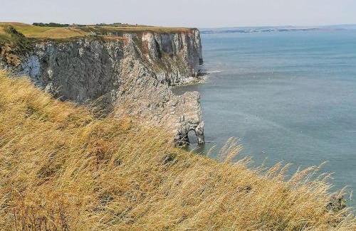 Flamborough House | Beam Cottage