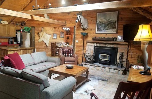 Ruidoso Cabin | Bearadise Summary: Be
