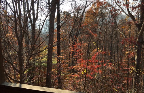 Candler Cottage | Bearidise Hot Tub, Fireplace, Near Asheville, View, Fire Pit, WiFi, Pet Friendly