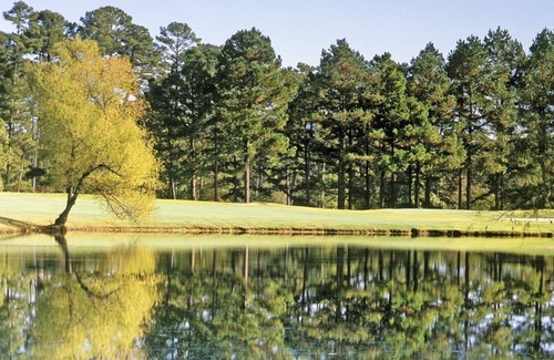 Hot Springs Village Apartment | Beautiful 1 bedroom unit at resort, sleeps 4