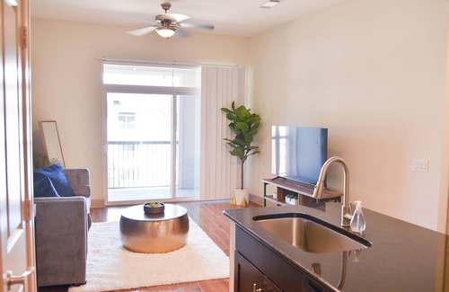 Astrodome Apartment | Beautiful 1br medical Center Nrg Stadium