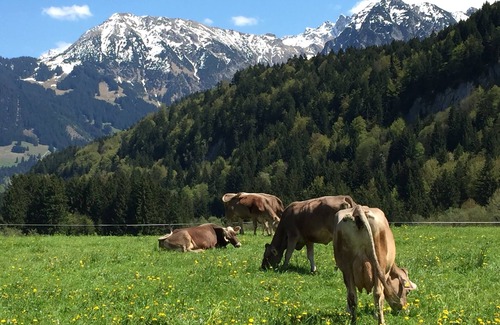 Westerhofen Apartment | Beautiful 65 sqm apartment