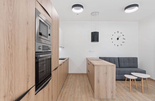 Janov nad Nisou Apartment | Beautiful apartment for 3 guests with WIFI, TV and terrace