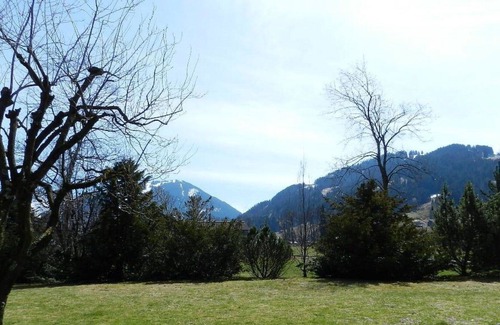 Saanen Apartment | Beautiful apartment for 2 people with WIFI, balcony, pets allowed and parking