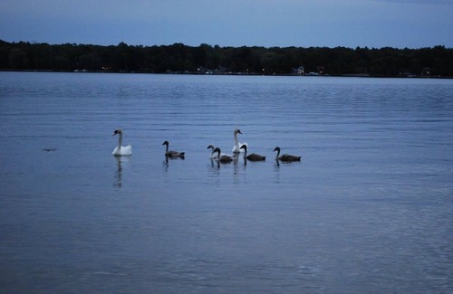 Pentwater House | Beautiful Bass Lake in Pentwater