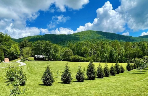 Tellico Plains Cabin | Beautiful Cabin 34 acres AMAZING Mountain Views border Cherokee National Forest