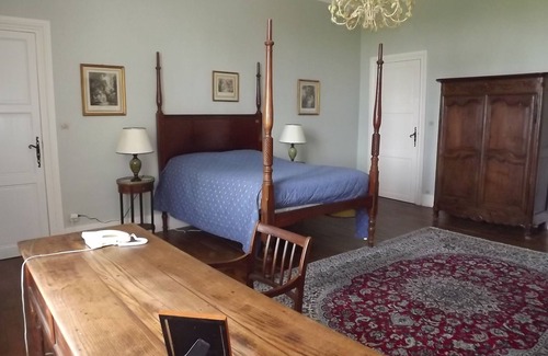 Savigny-sous-Faye Other | Beautiful chateau with pool and enclosed park in Loire Valley