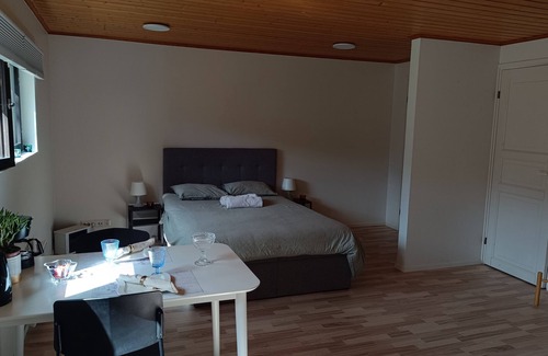 Jarvenpaa House | Beautiful Clean & Cosy studio near the center of Helsinki/ Pet Friendly