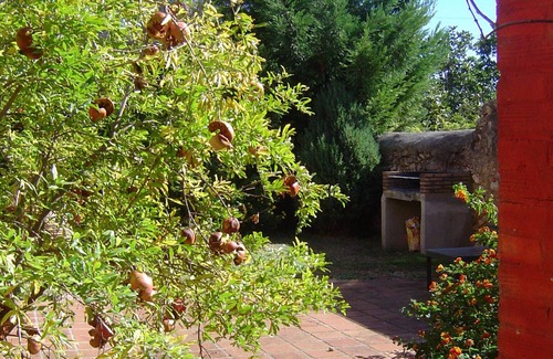 Banyeres del Penedes Cottage | Beautiful house for 5 people with garden.