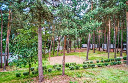 Swiecie House | Beautiful home in Sulnowo with sauna
