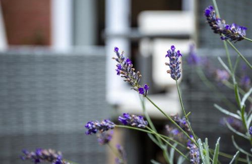 Stratford-upon-Avon House | Beautiful House in Stratford upon Avon