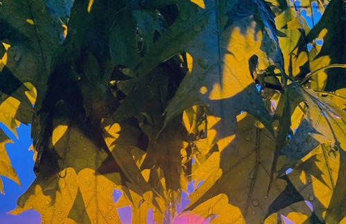 Pulaski House | Beautiful Lake Front Property…A relaxing “Happy Place” of sunsets!