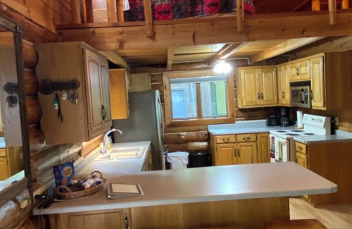 Hackensack Cabin | Beautiful Log Cabin on Trillium Lake with Sauna & Pontoon included! GREAT RATES!